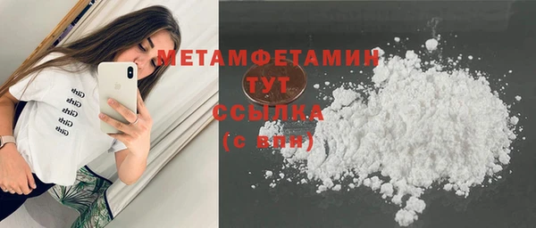 прущие грибы Инта