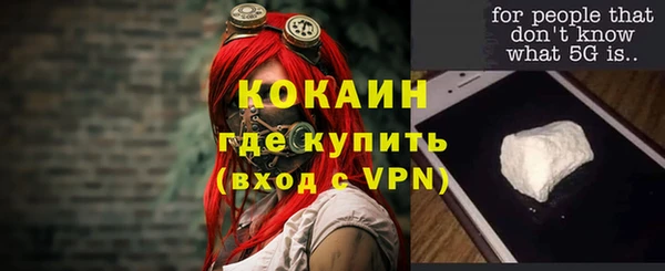 прущие грибы Инта