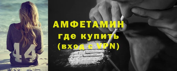 индика Иннополис