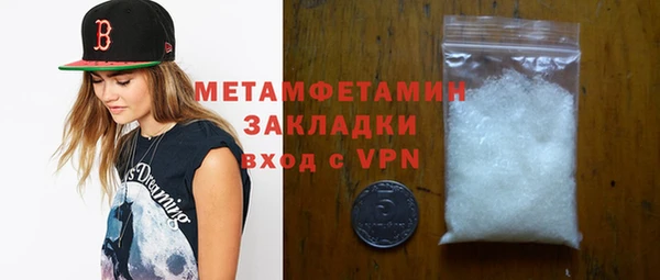 прущие грибы Инта
