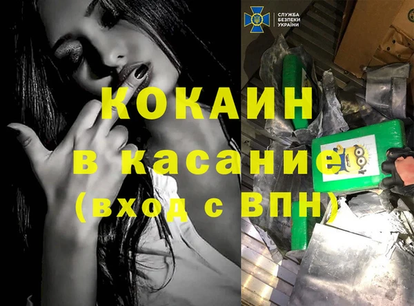 прущие грибы Инта