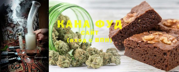 индика Иннополис