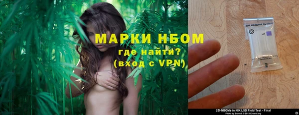 прущие грибы Инта
