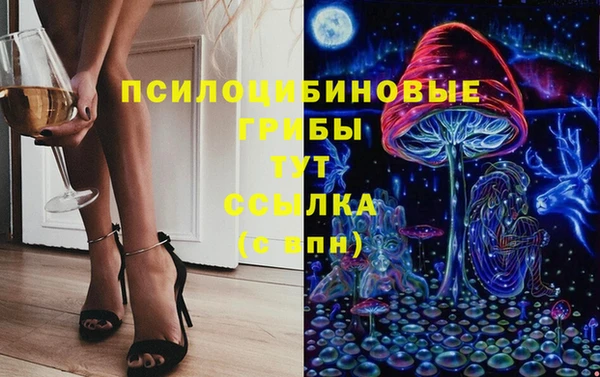 прущие грибы Инта