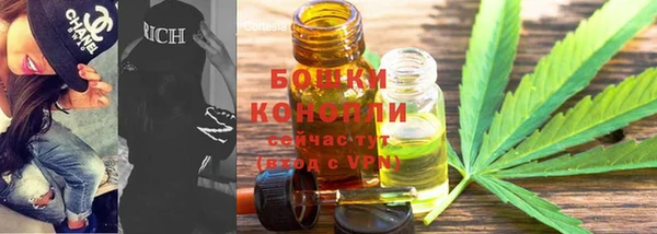 амф Зеленокумск