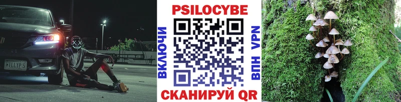 Галлюциногенные грибы ЛСД  продажа наркотиков  ссылка на мегу зеркало  Тайга 